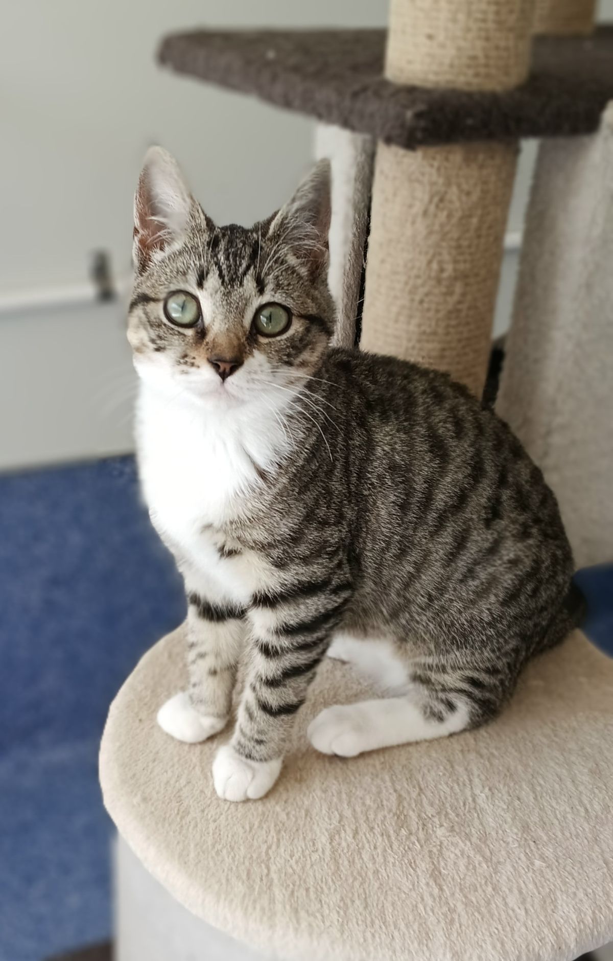 Gallery image: Emmette