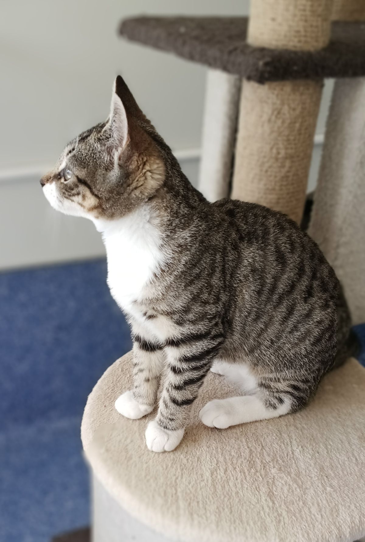 Gallery image: Emmette