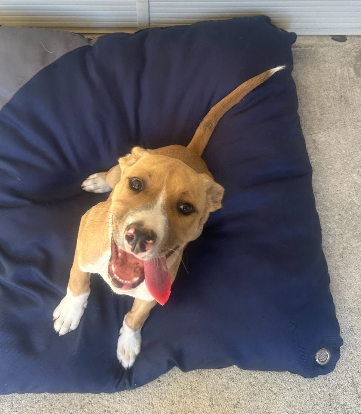 Gallery image: Patrick