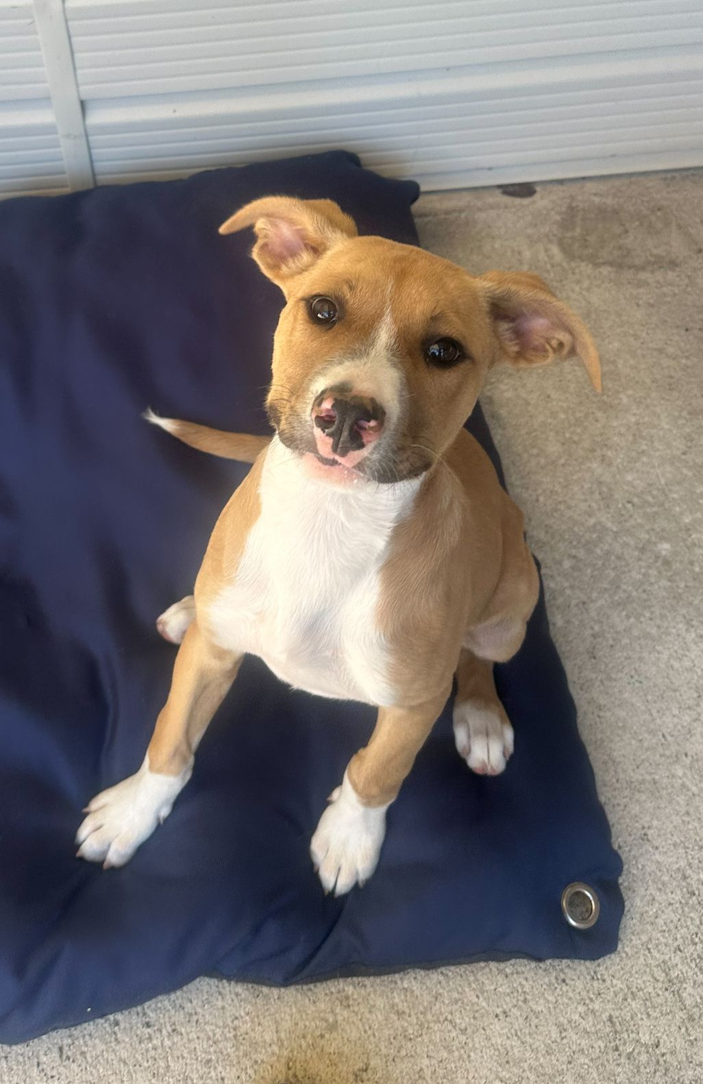 Gallery image: Patrick