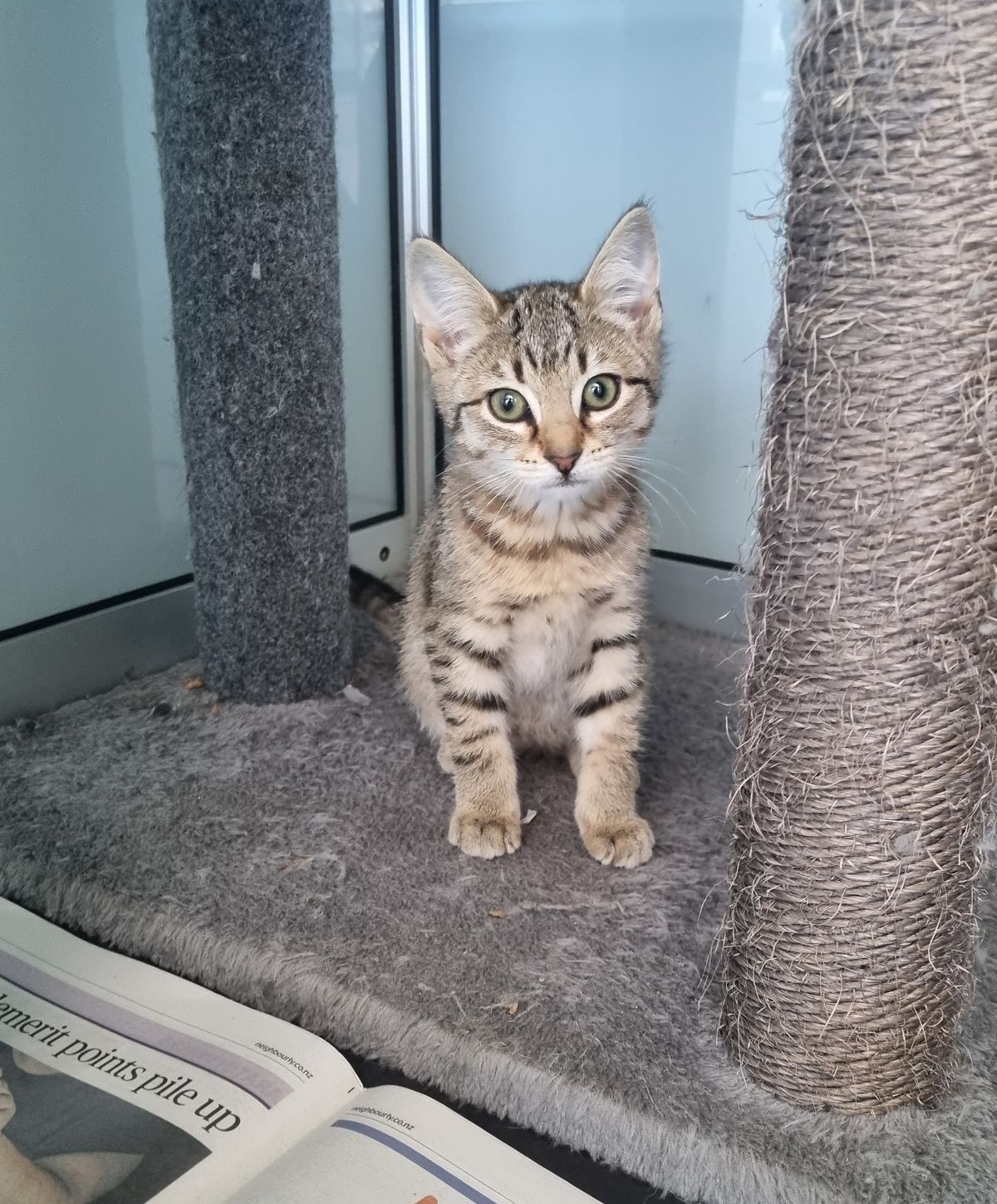 Gallery image: Jelly