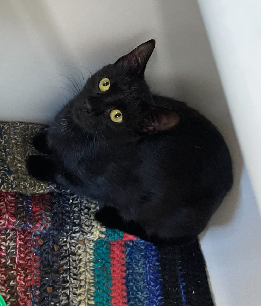 Gallery image: Midnight