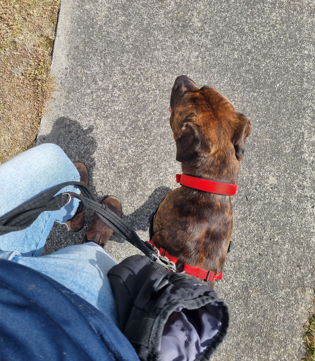 Gallery image: Zaria