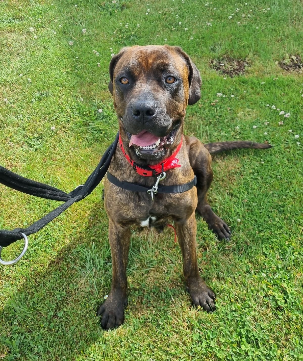 Gallery image: Zaria