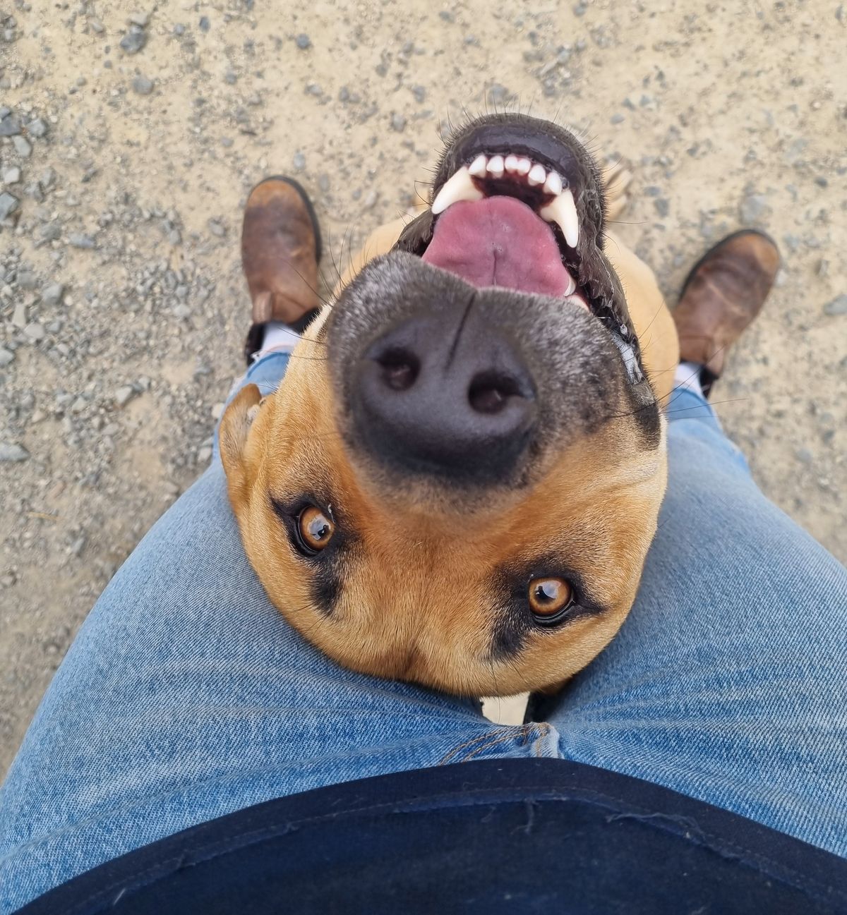 Gallery image: Chase