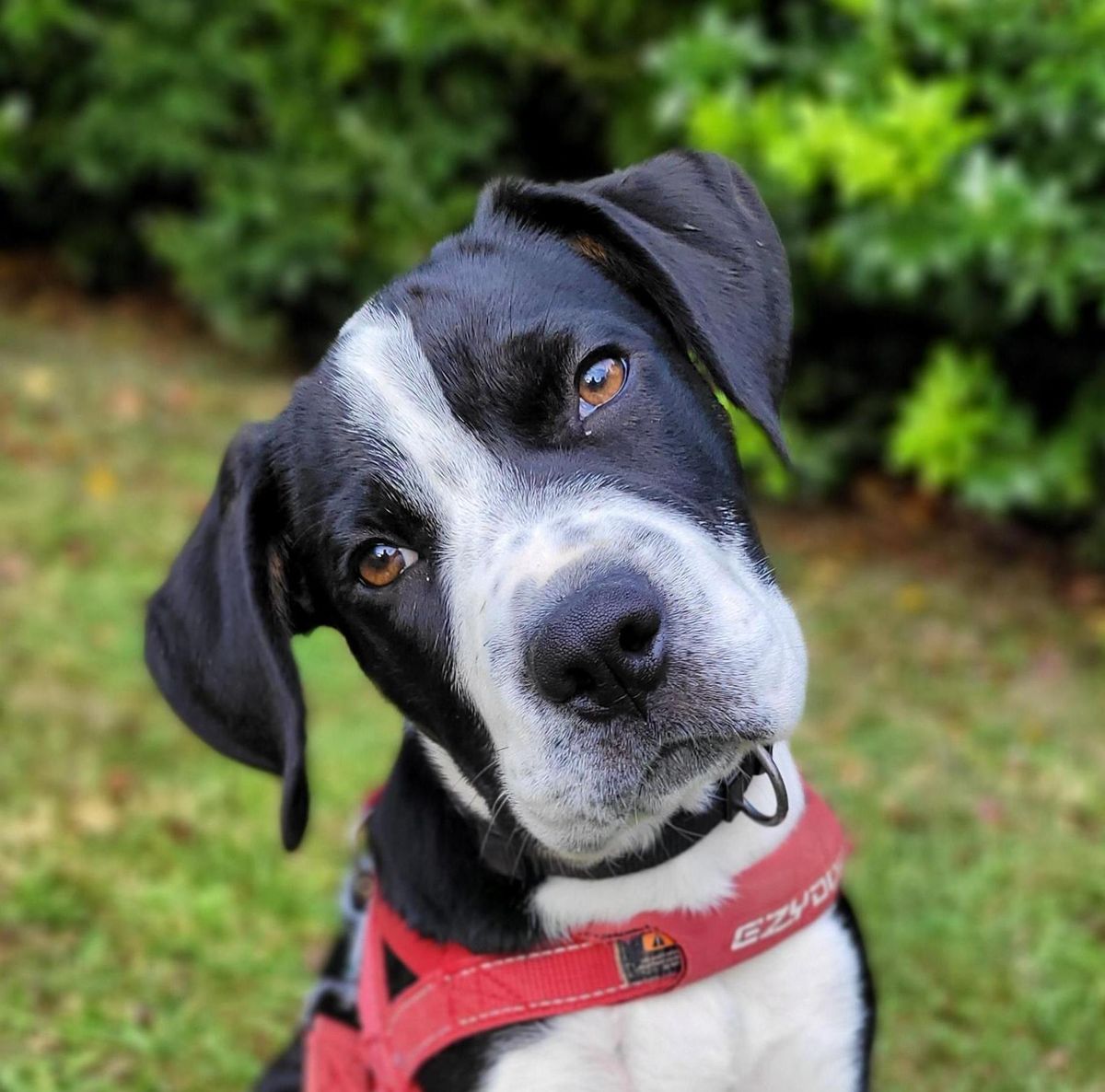 Gallery image: Jenga