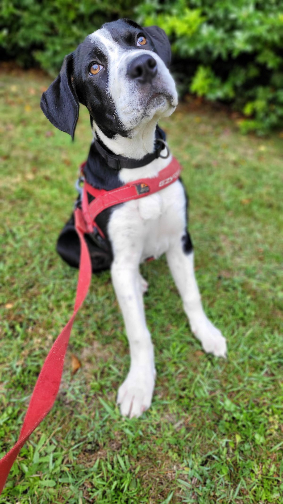 Gallery image: Jenga