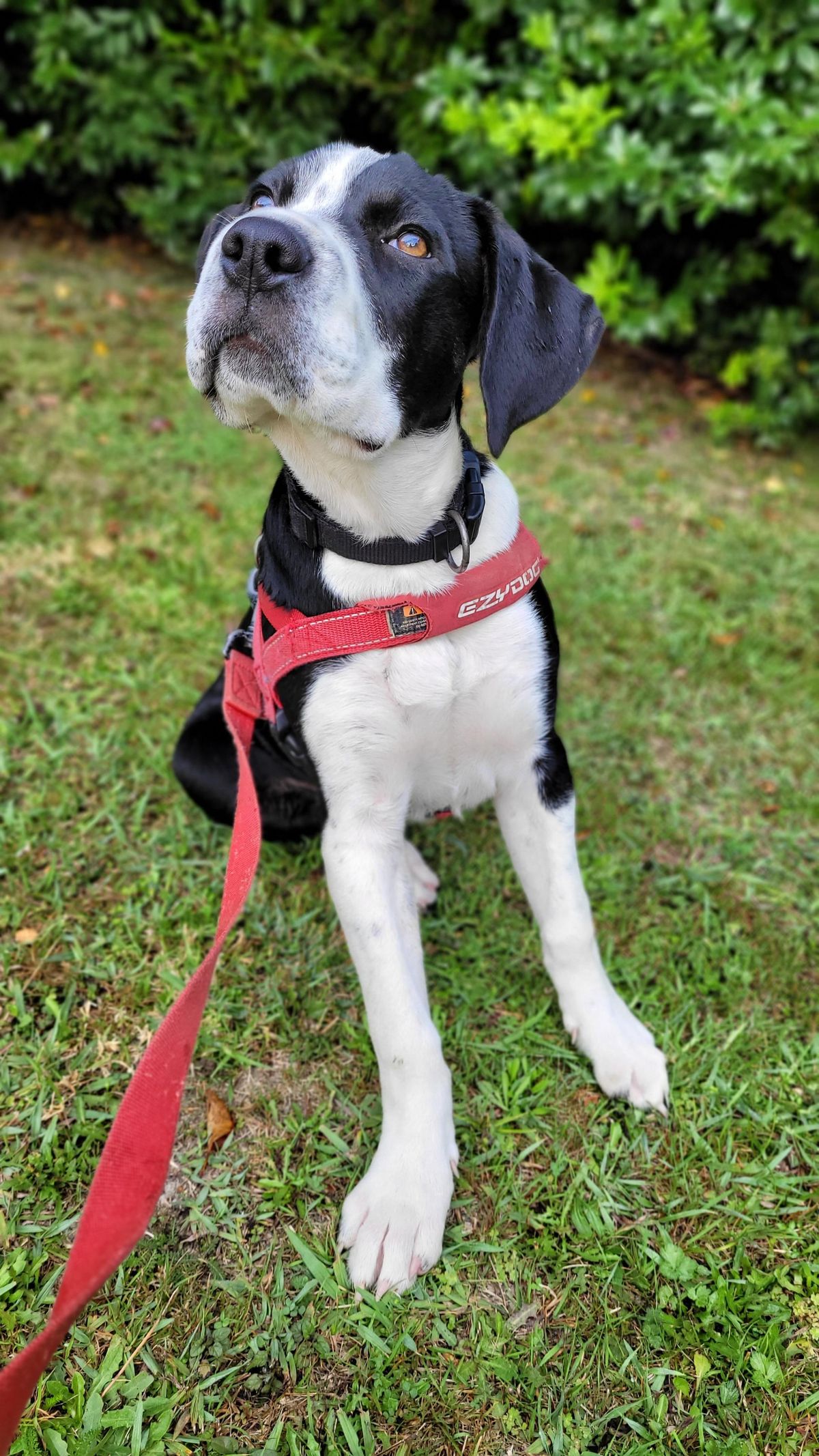 Gallery image: Jenga