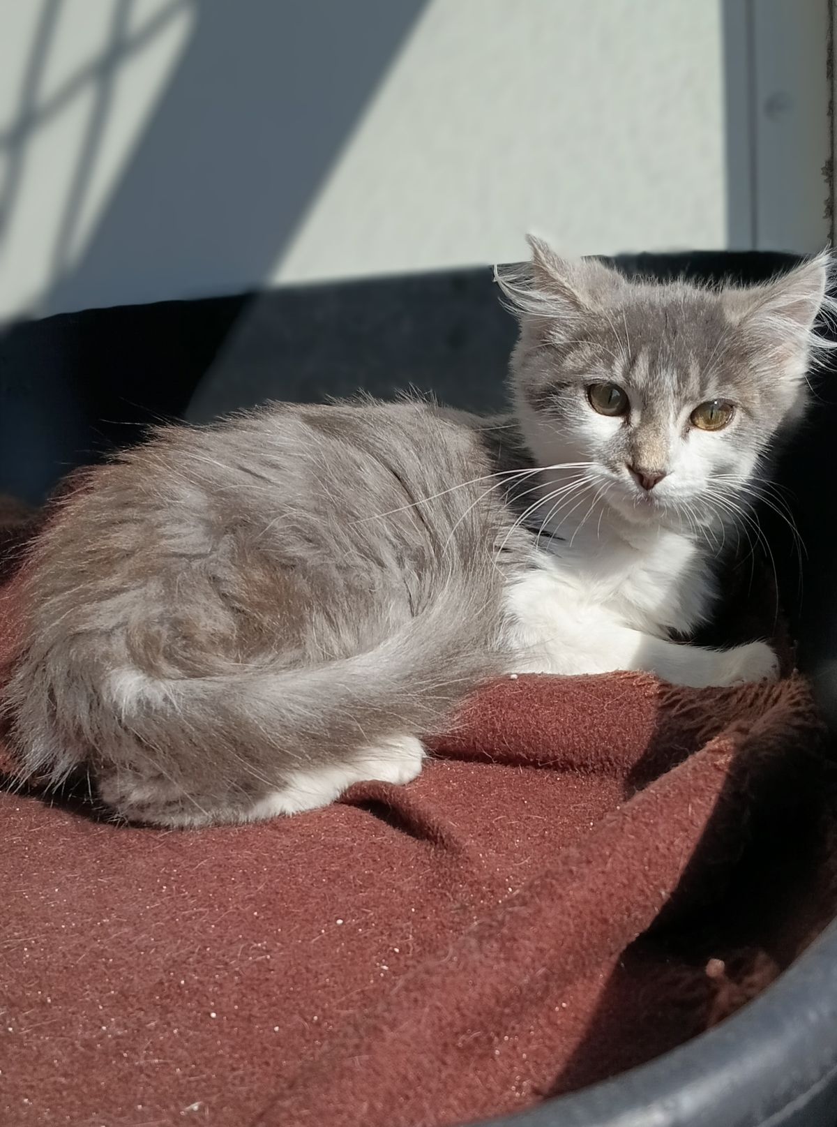 Gallery image: Miles