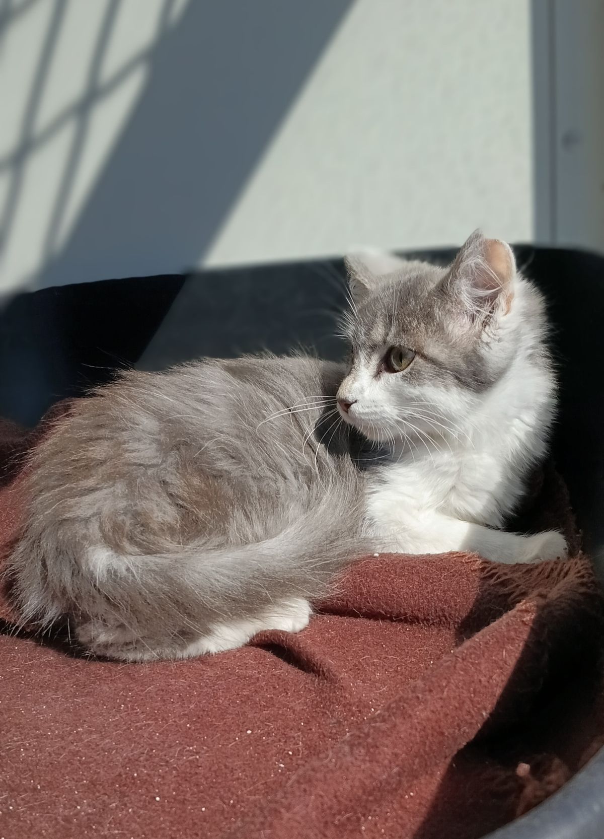 Gallery image: Miles