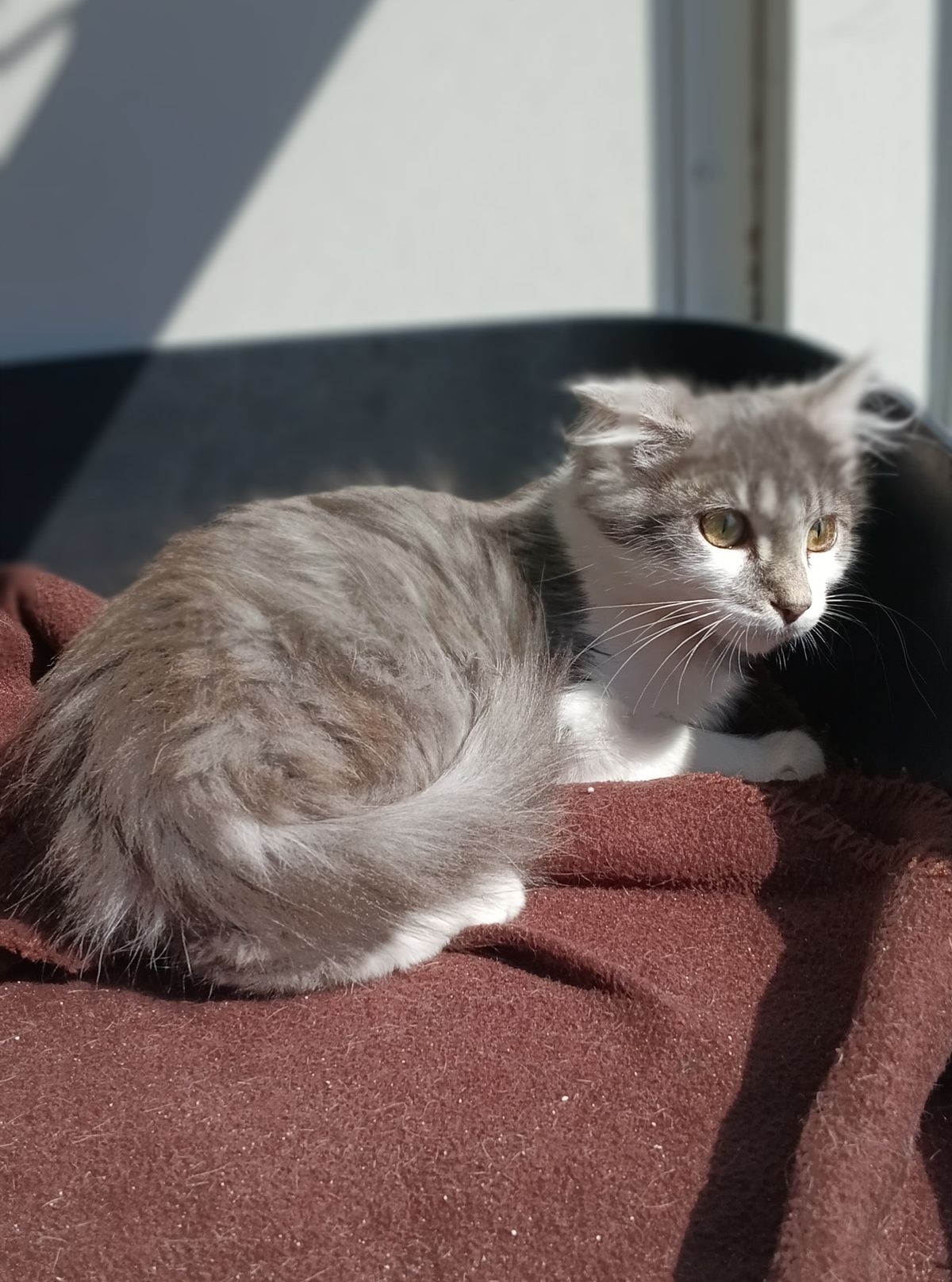 Gallery image: Miles