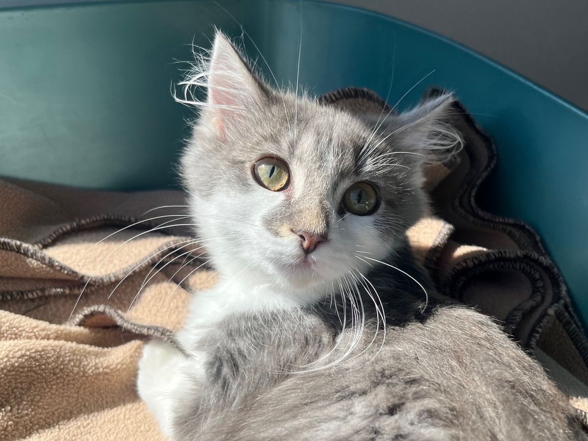 Gallery image: Miles