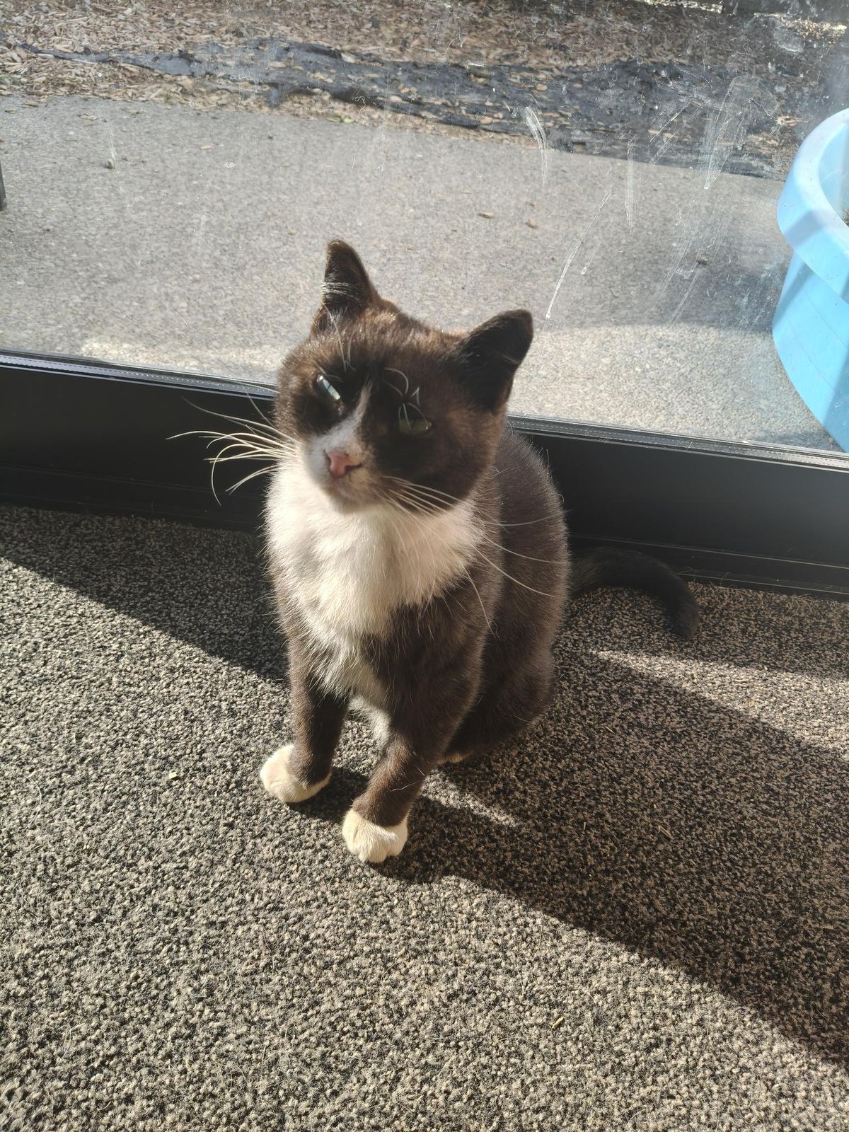 Gallery image: Peanut