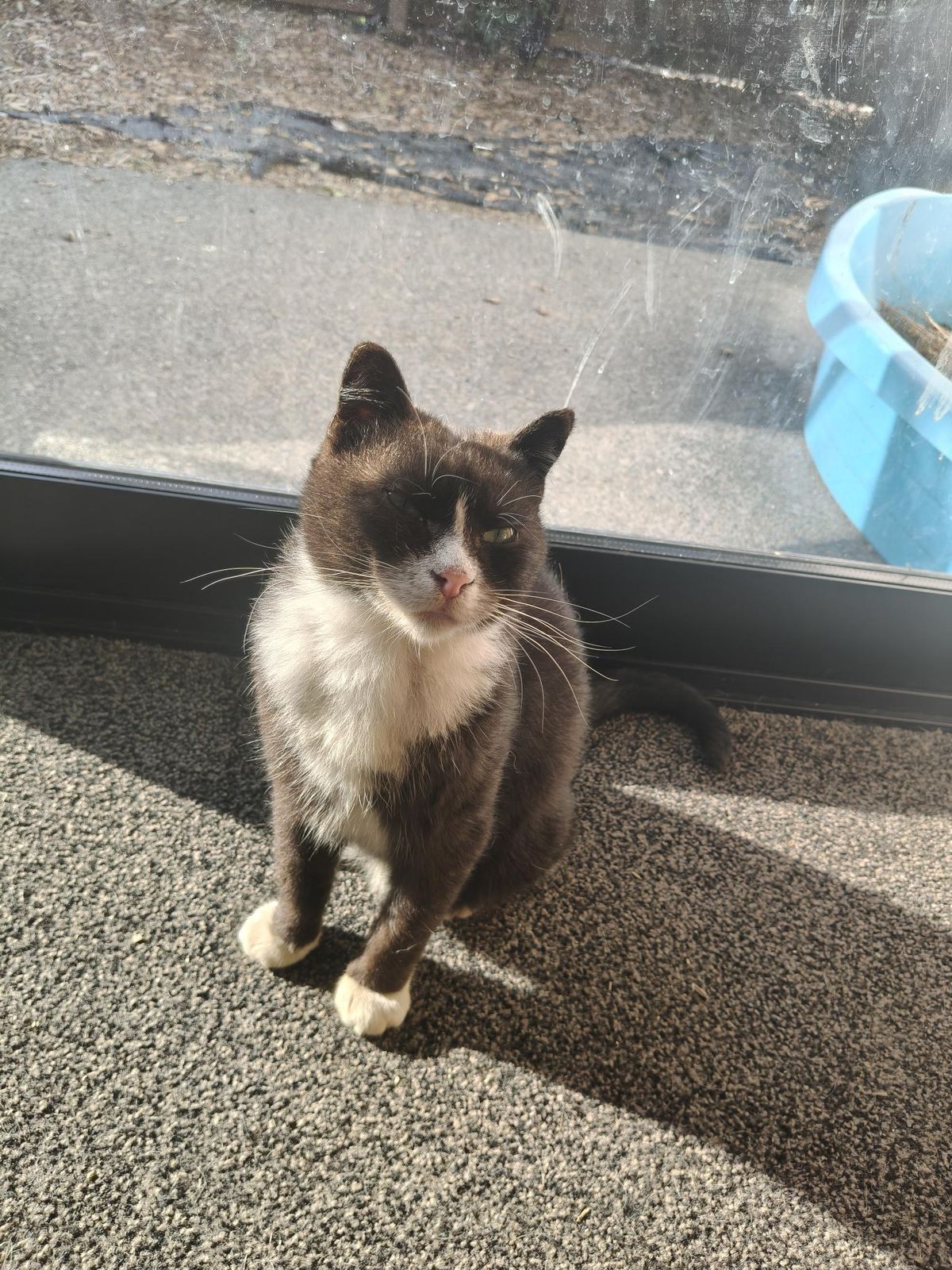 Gallery image: Peanut