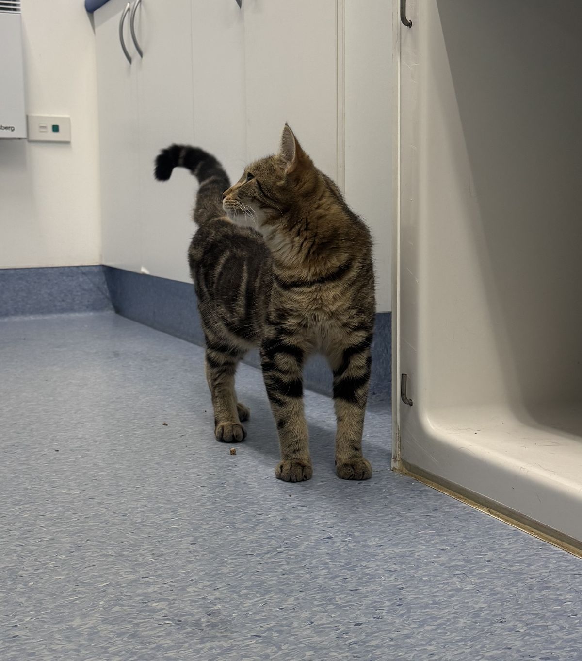 Gallery image: Bobby