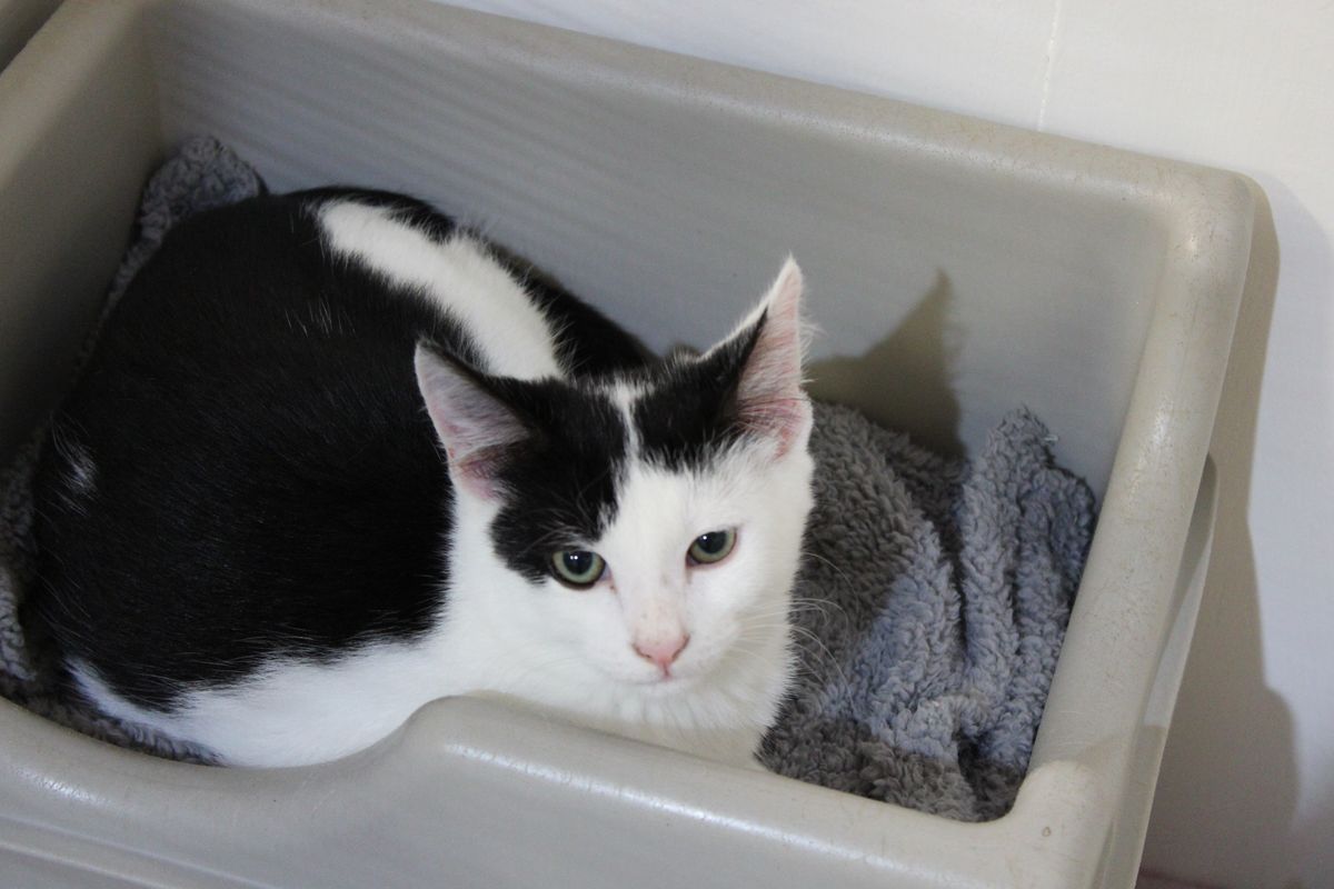 Gallery image: Murphy