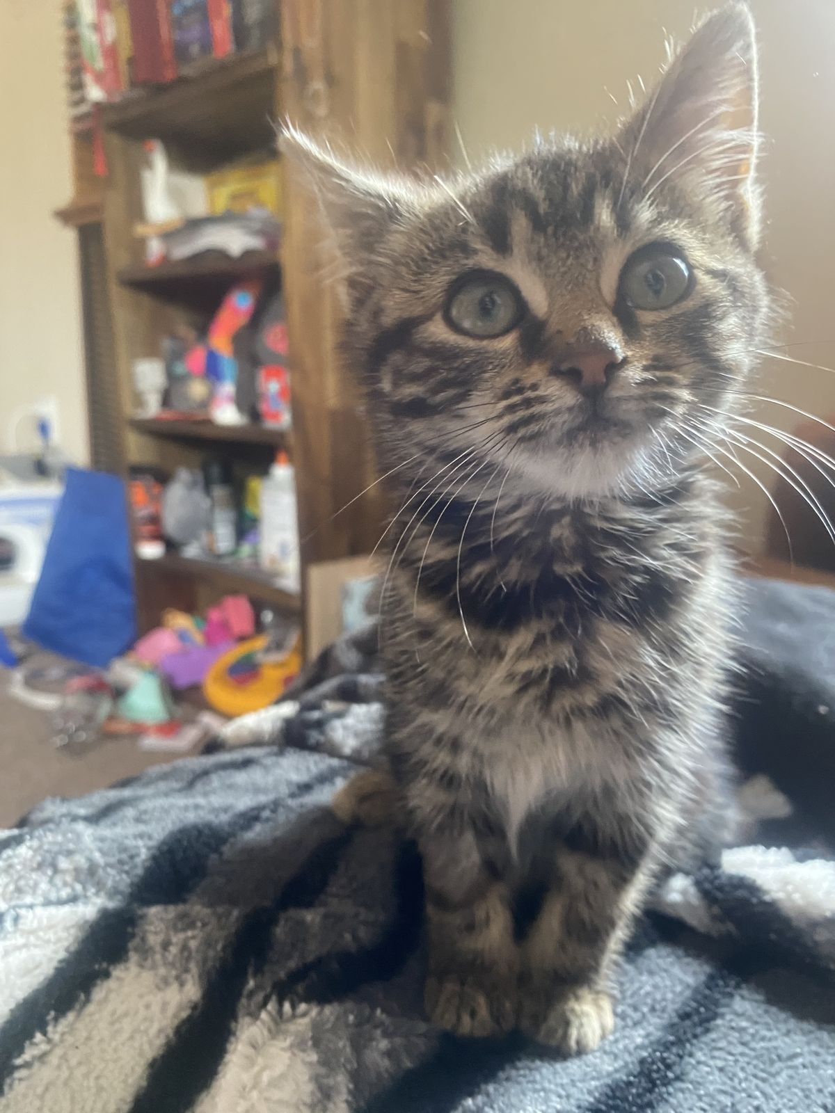 Gallery image: Gravel