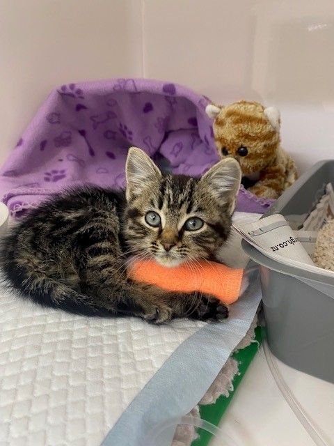 Gallery image: Gravel