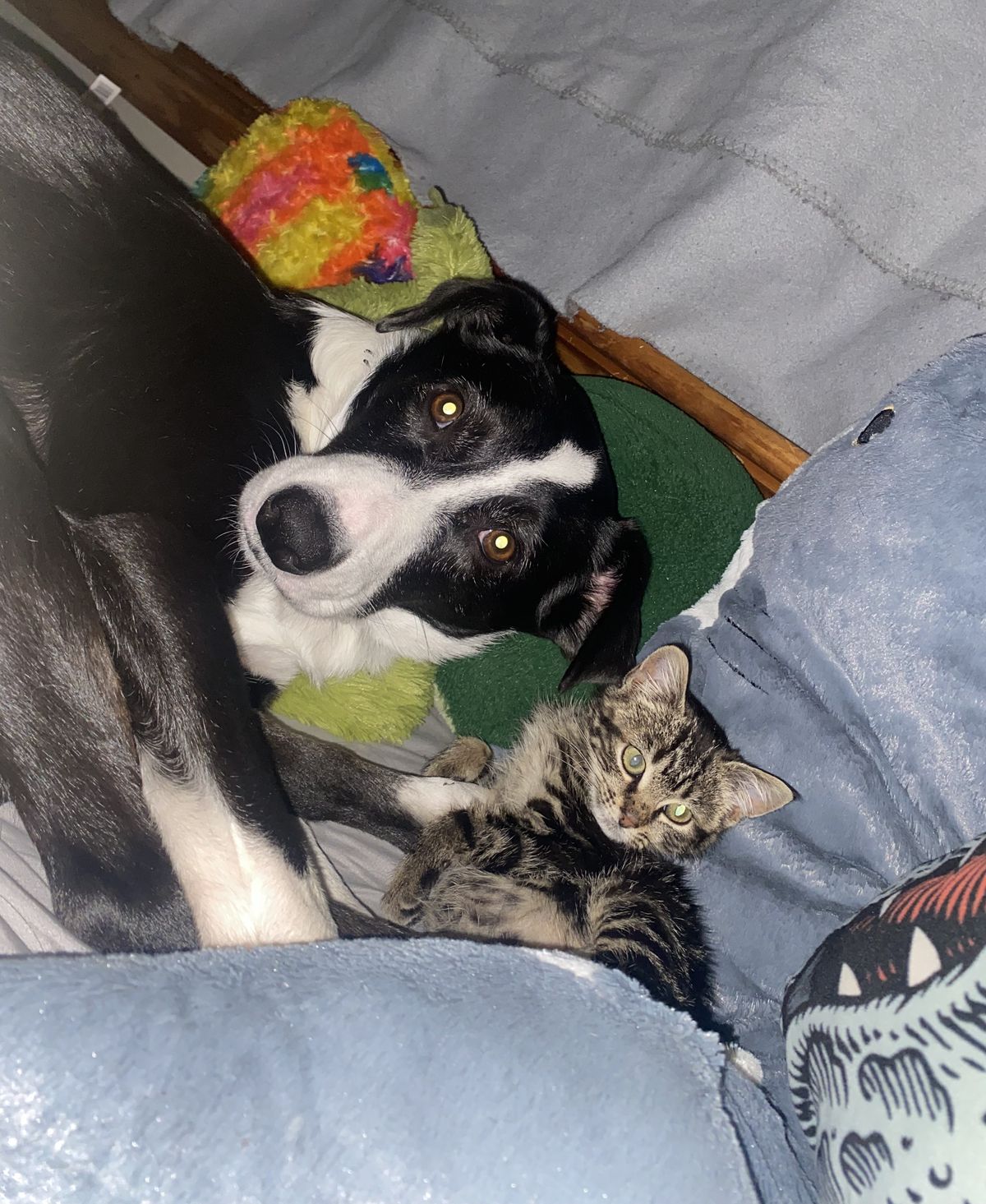 Gallery image: Gravel