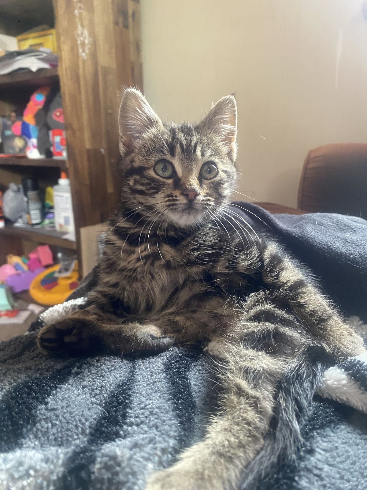 Gallery image: Gravel