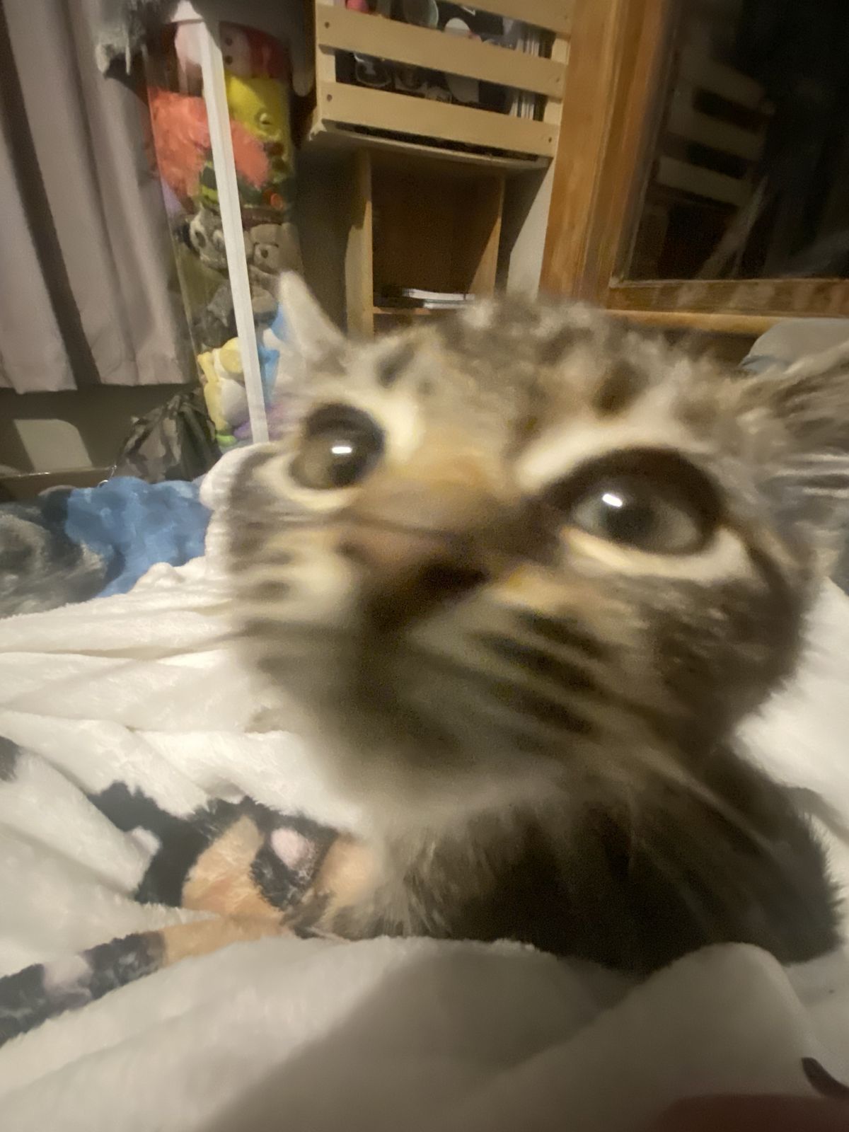 Gallery image: Gravel