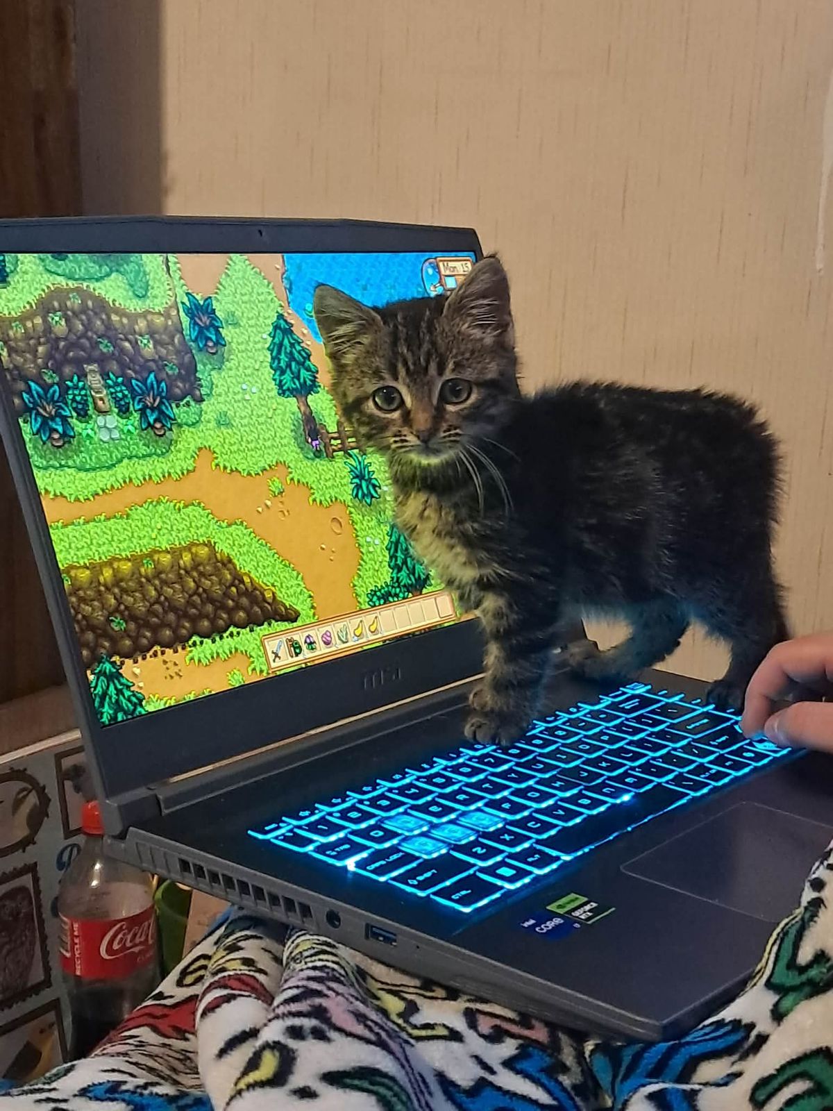 Gallery image: Gravel