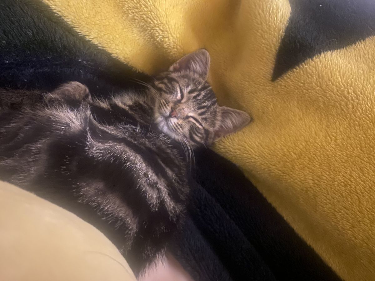 Gallery image: Gravel