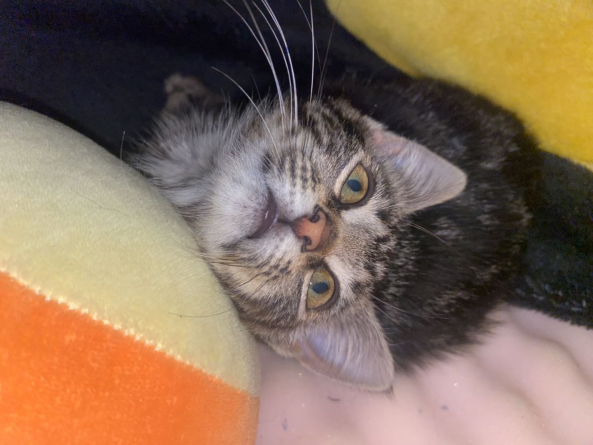 Gallery image: Gravel