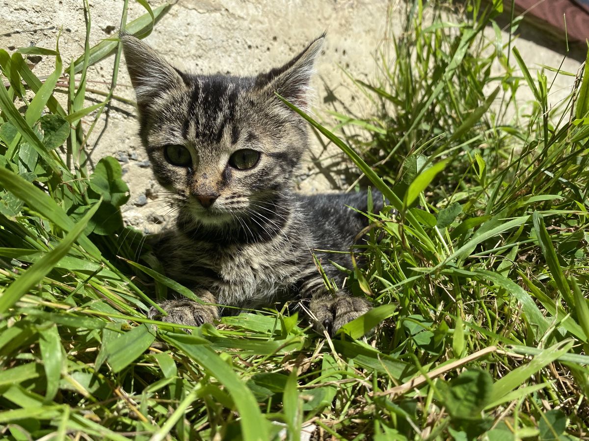 Gallery image: Gravel