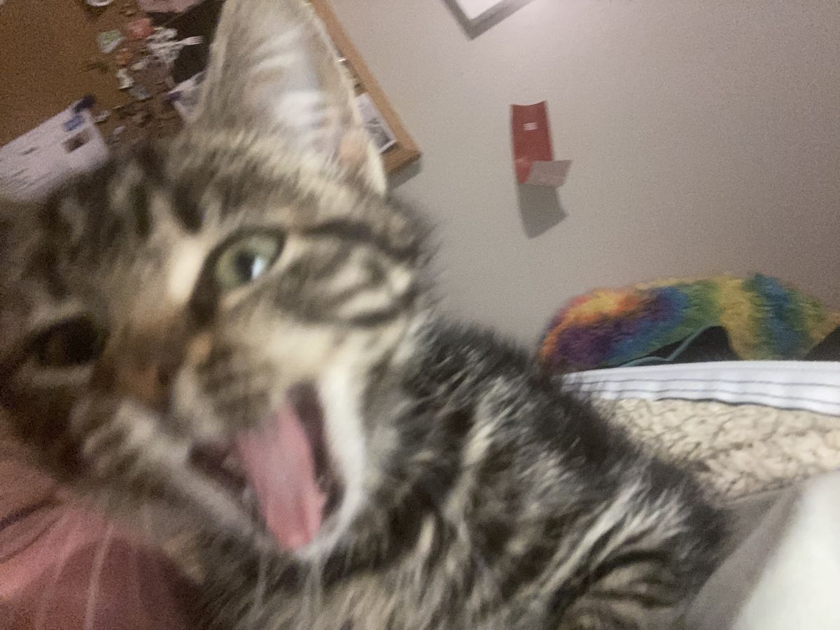 Gallery image: Gravel