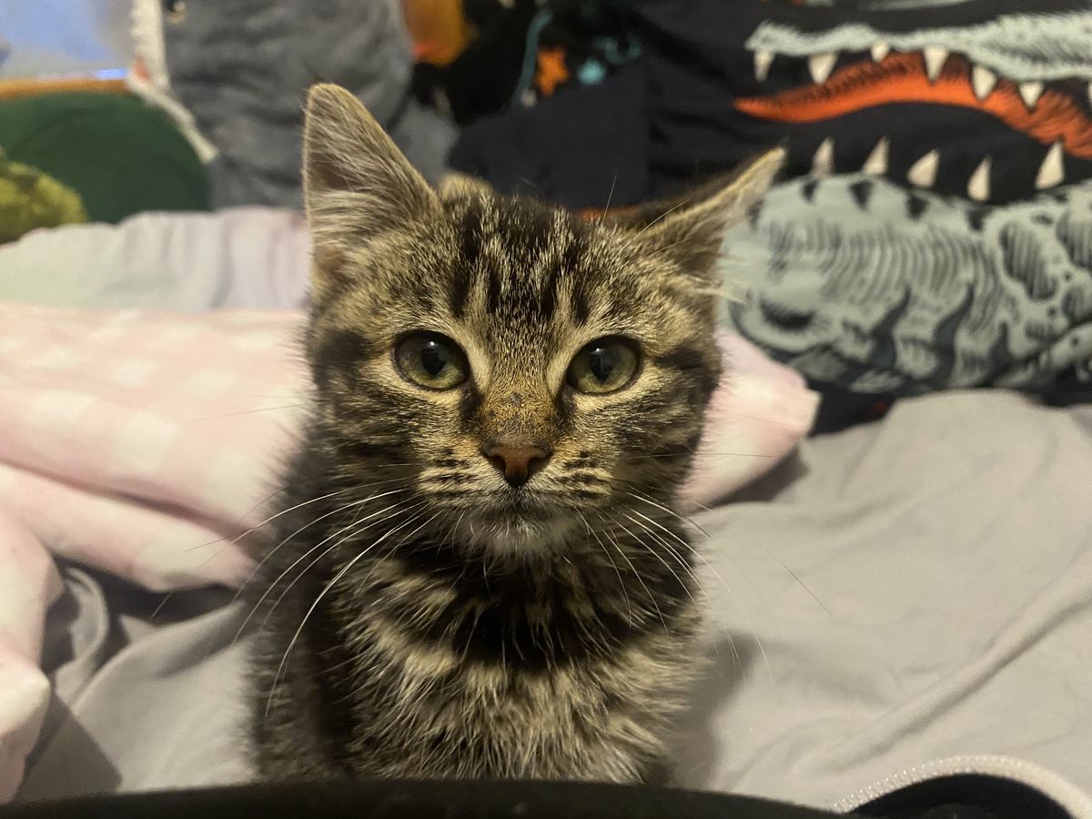 Gallery image: Gravel