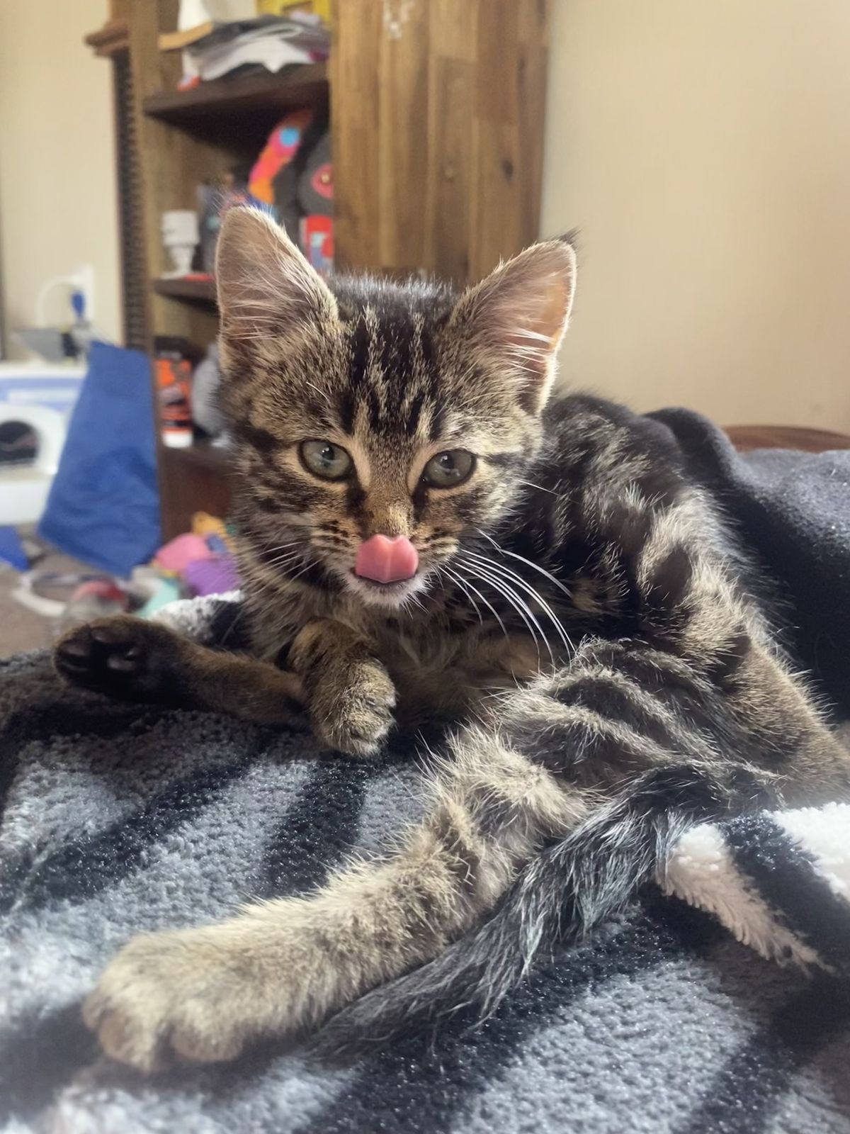 Gallery image: Gravel