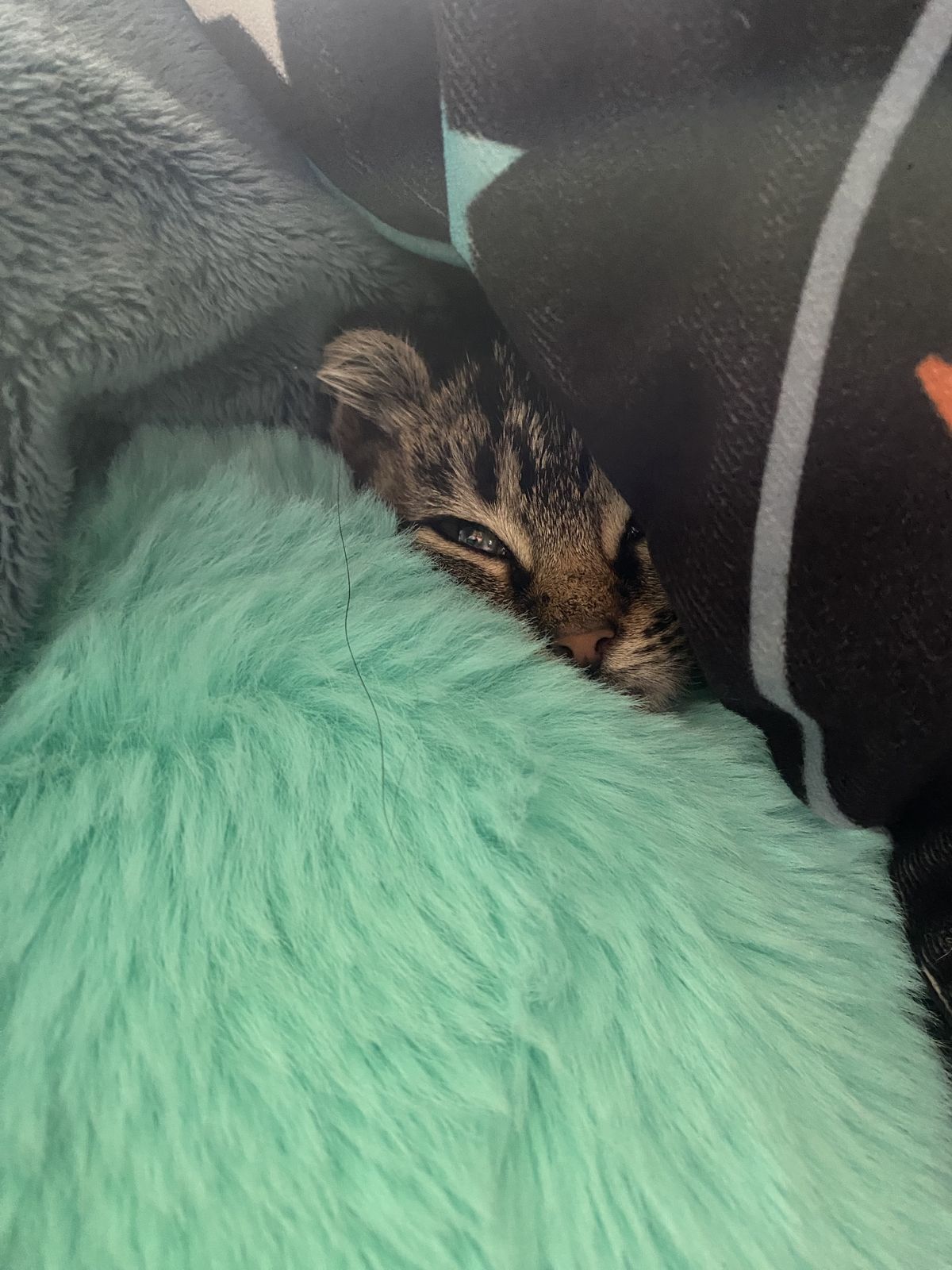 Gallery image: Gravel