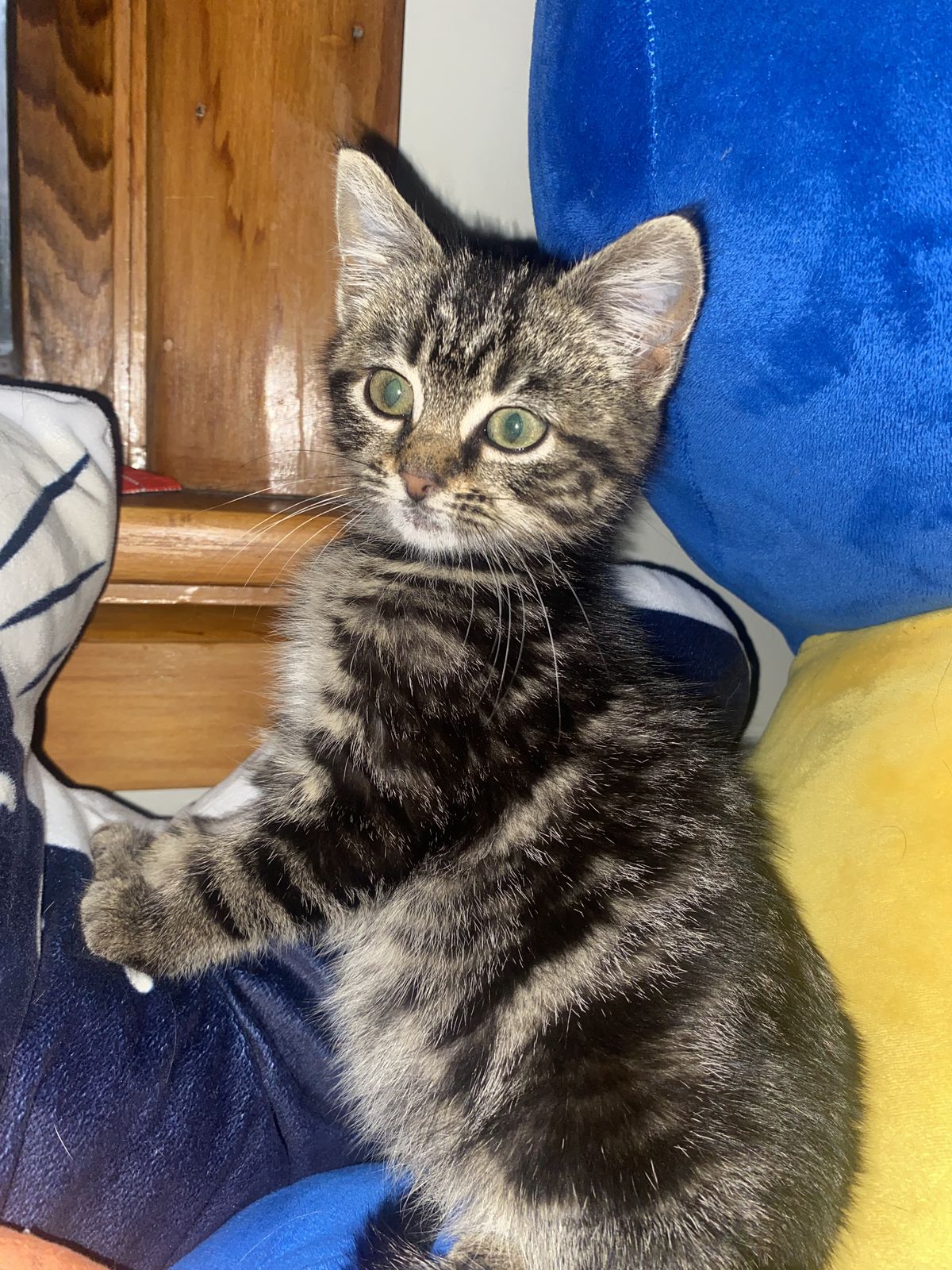 Gallery image: Gravel