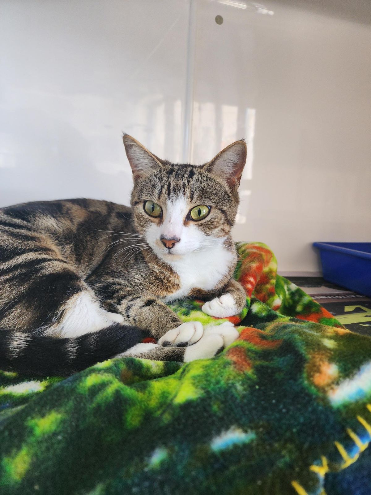 Gallery image: Charlotte