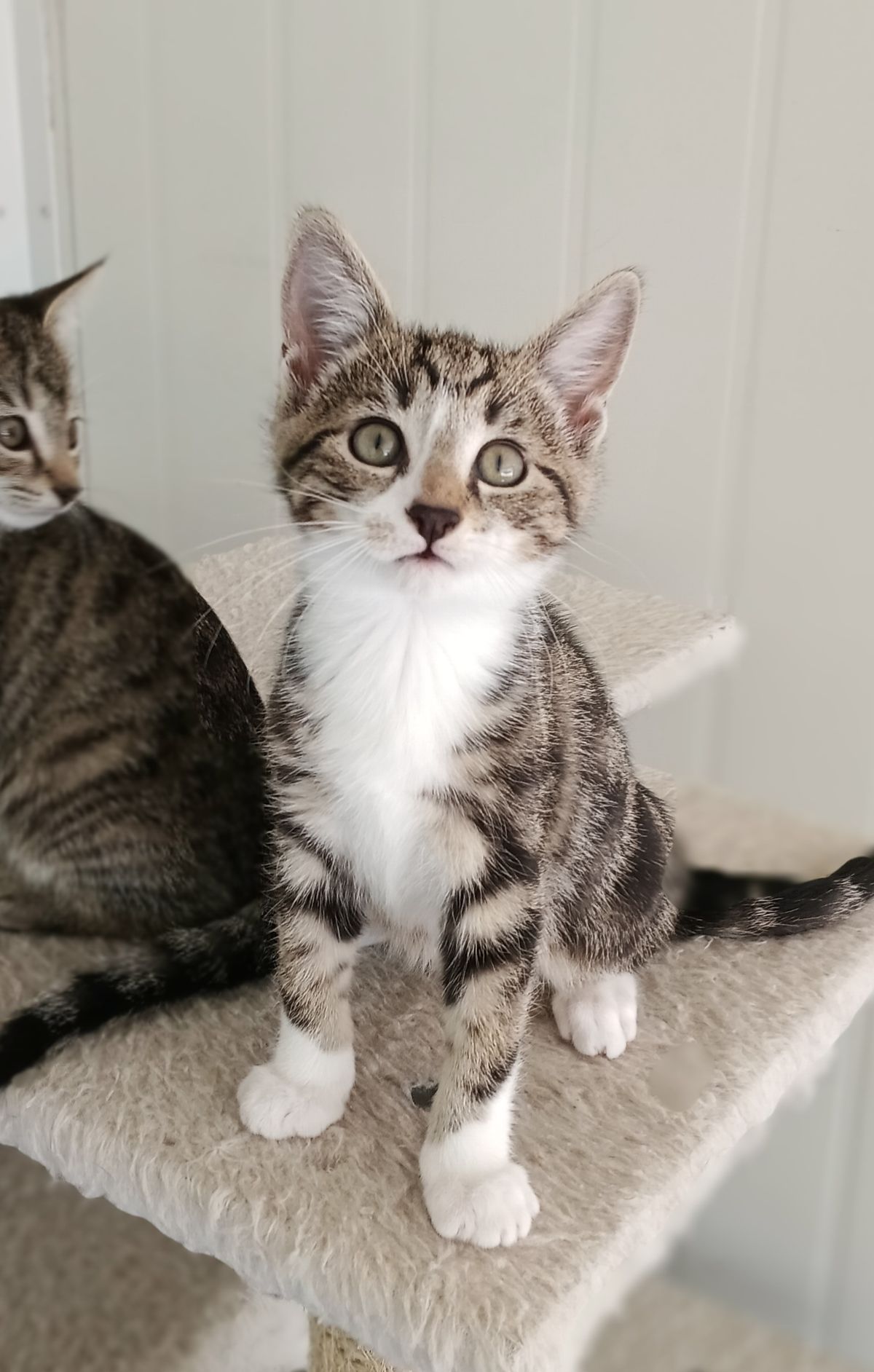 Gallery image: Justin