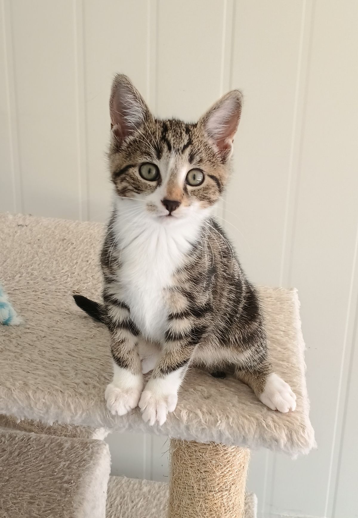 Gallery image: Justin