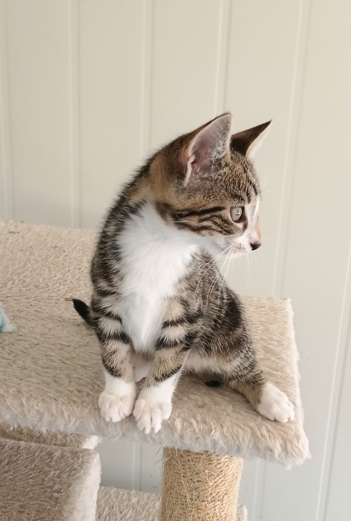 Gallery image: Justin