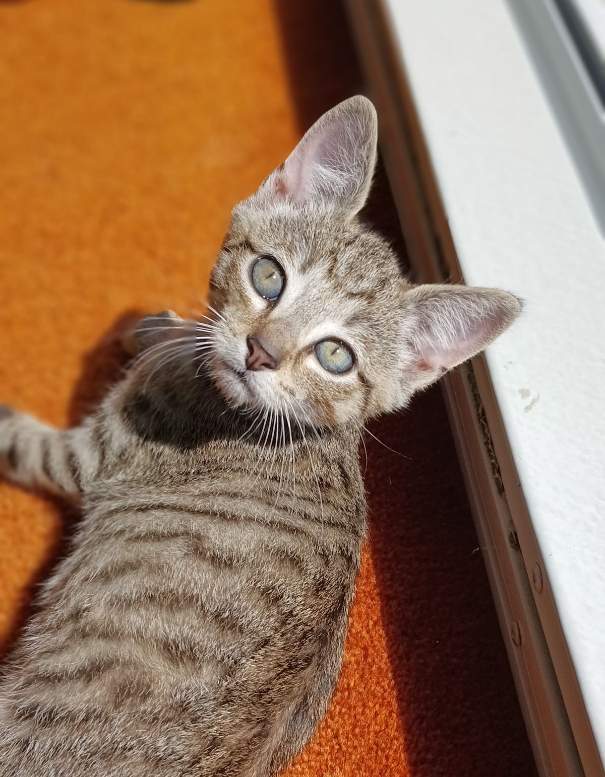 Gallery image: Ricky