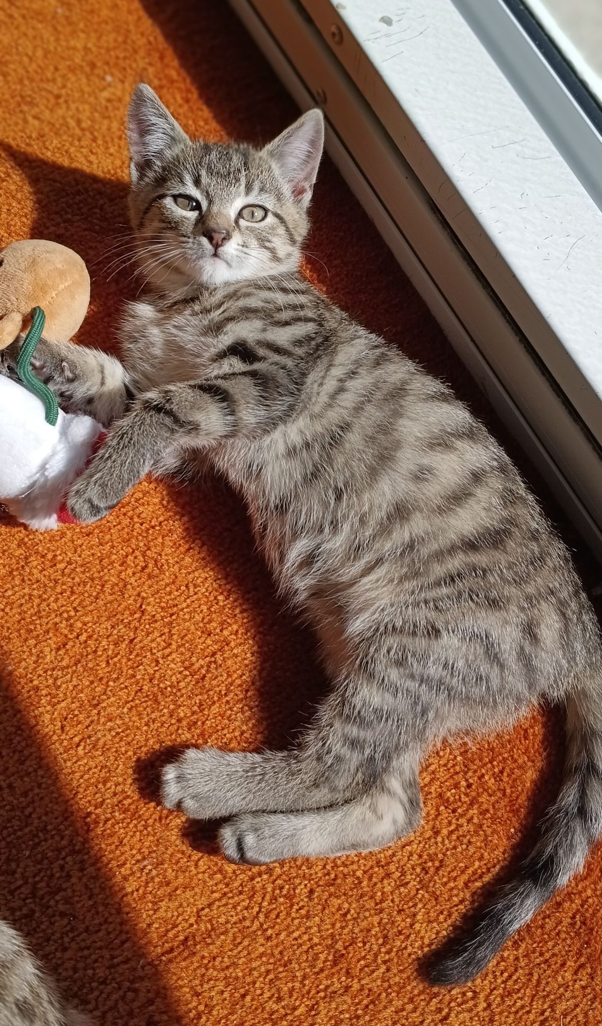 Gallery image: Ricky