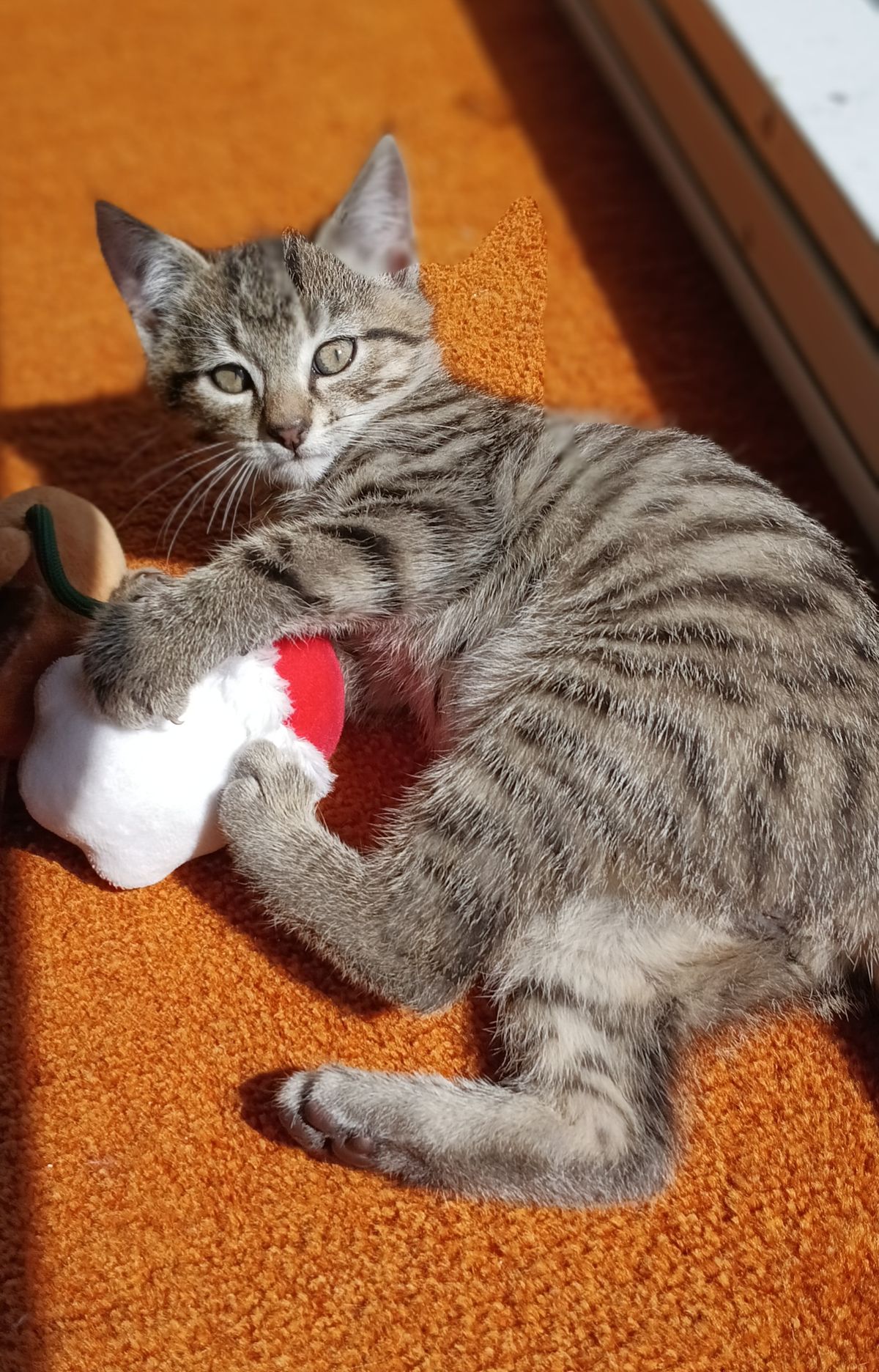 Gallery image: Ricky