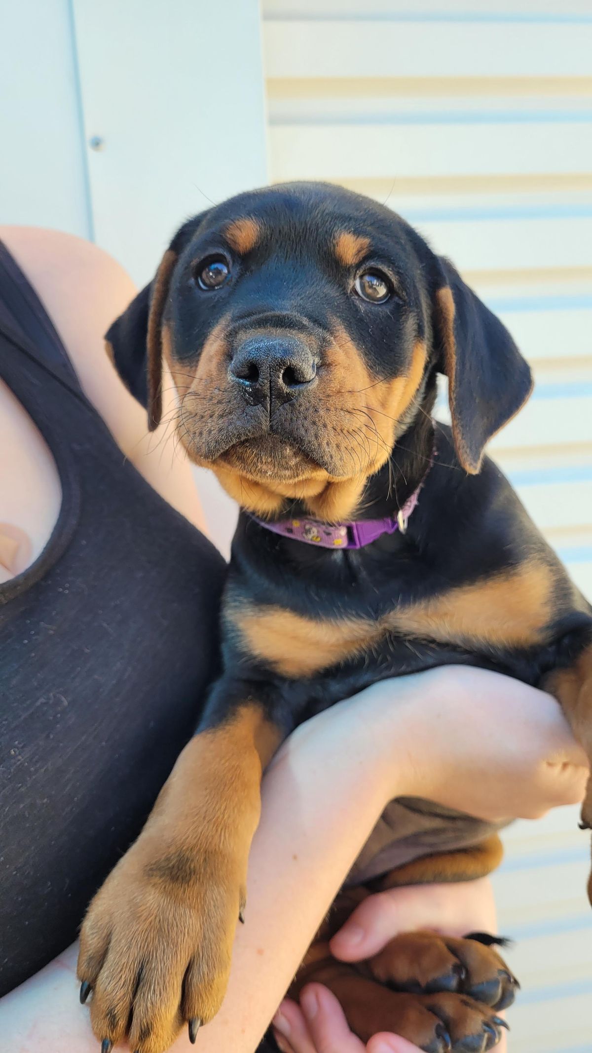 Gallery image: Button