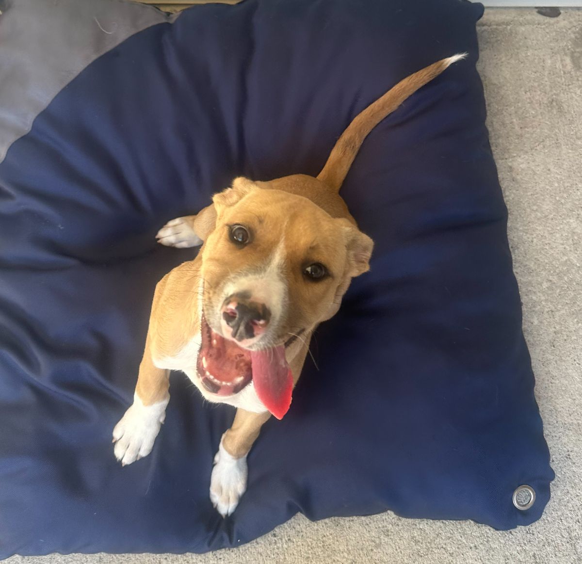 Gallery image: Sandy