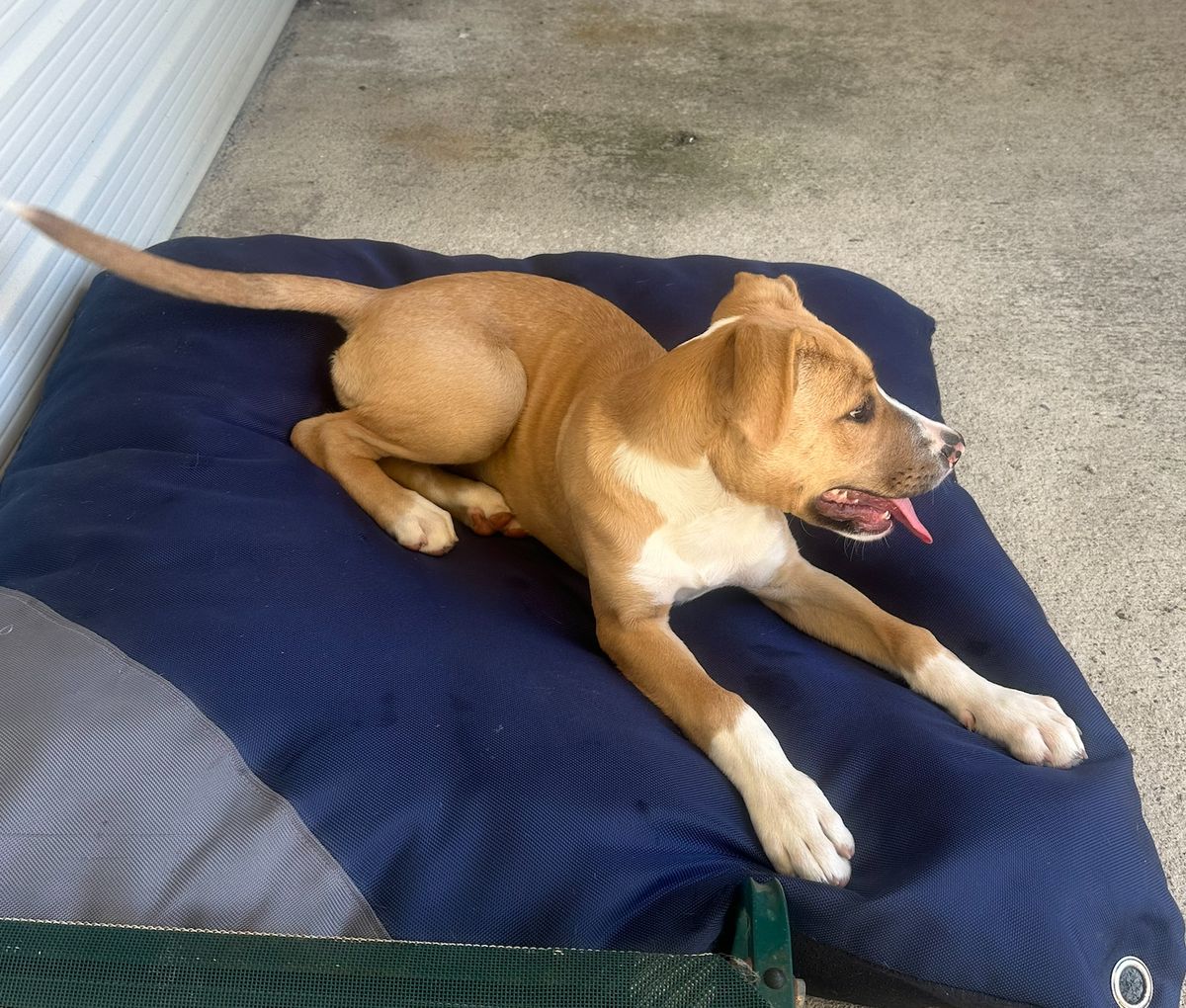 Gallery image: Sandy