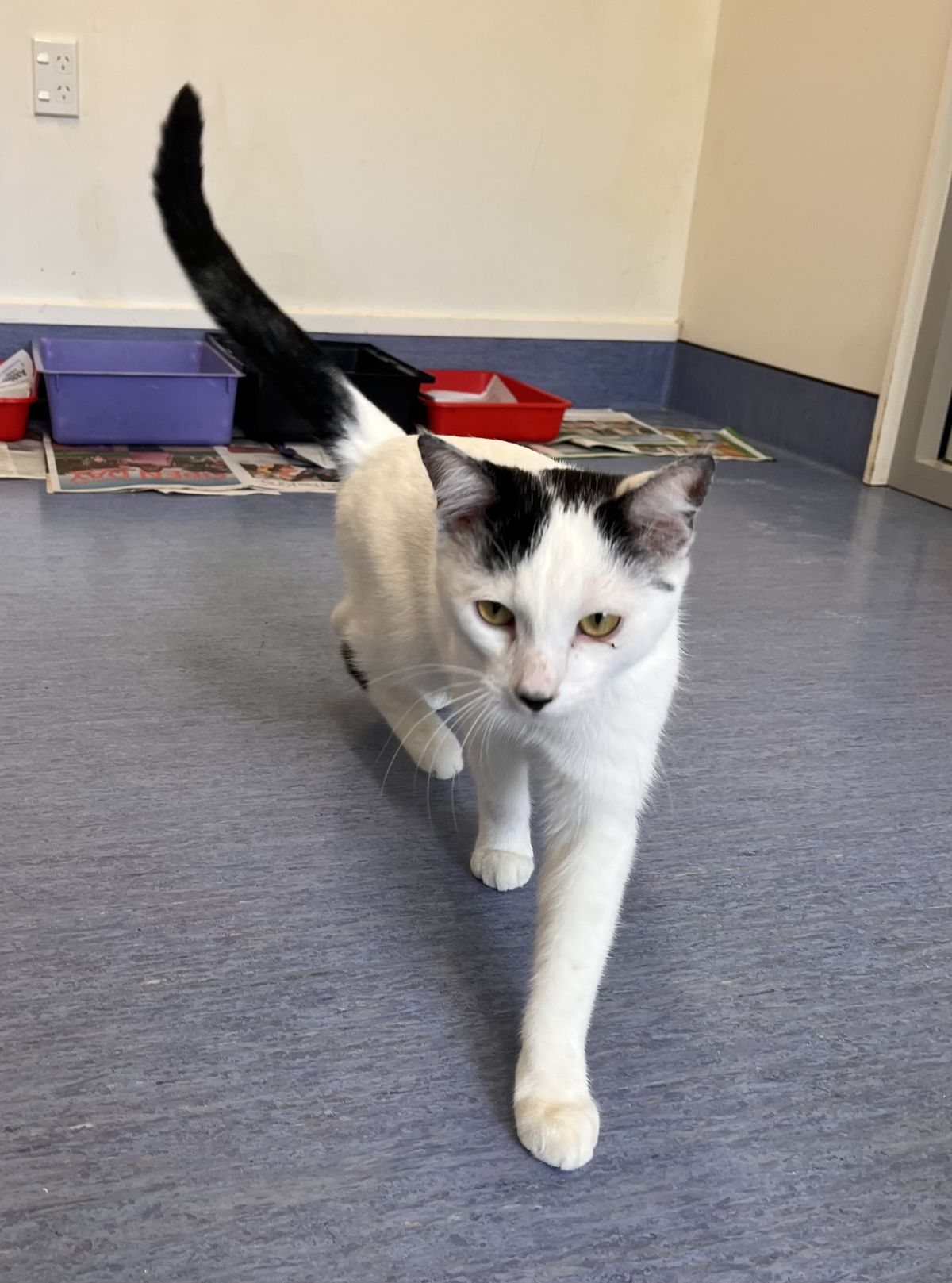 Gallery image: Scooby Doo