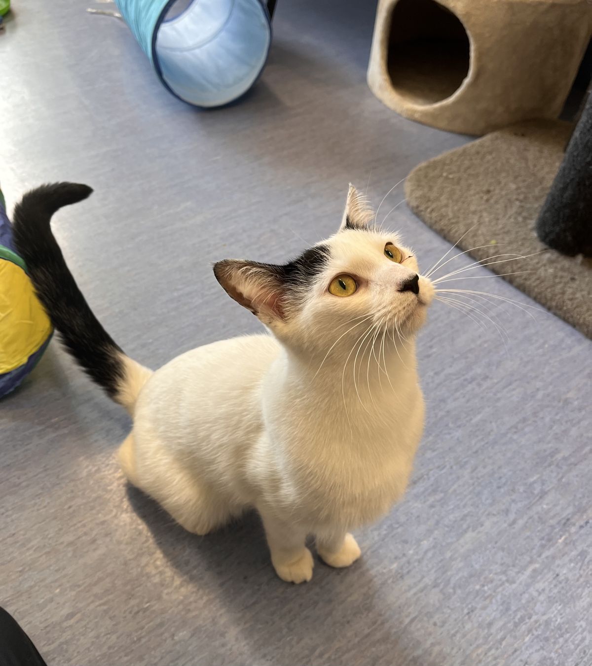 Gallery image: Scooby Doo