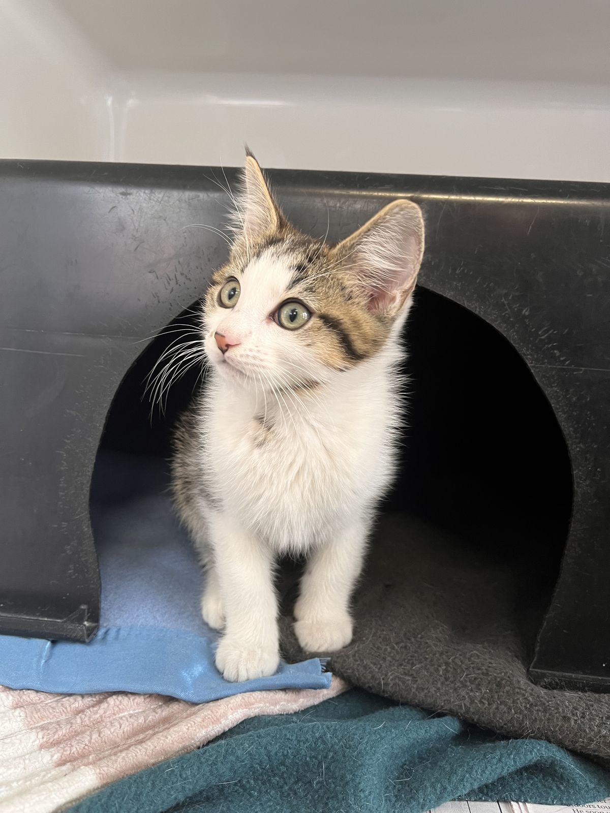 Gallery image: Parker