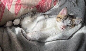 Gallery image: Parker