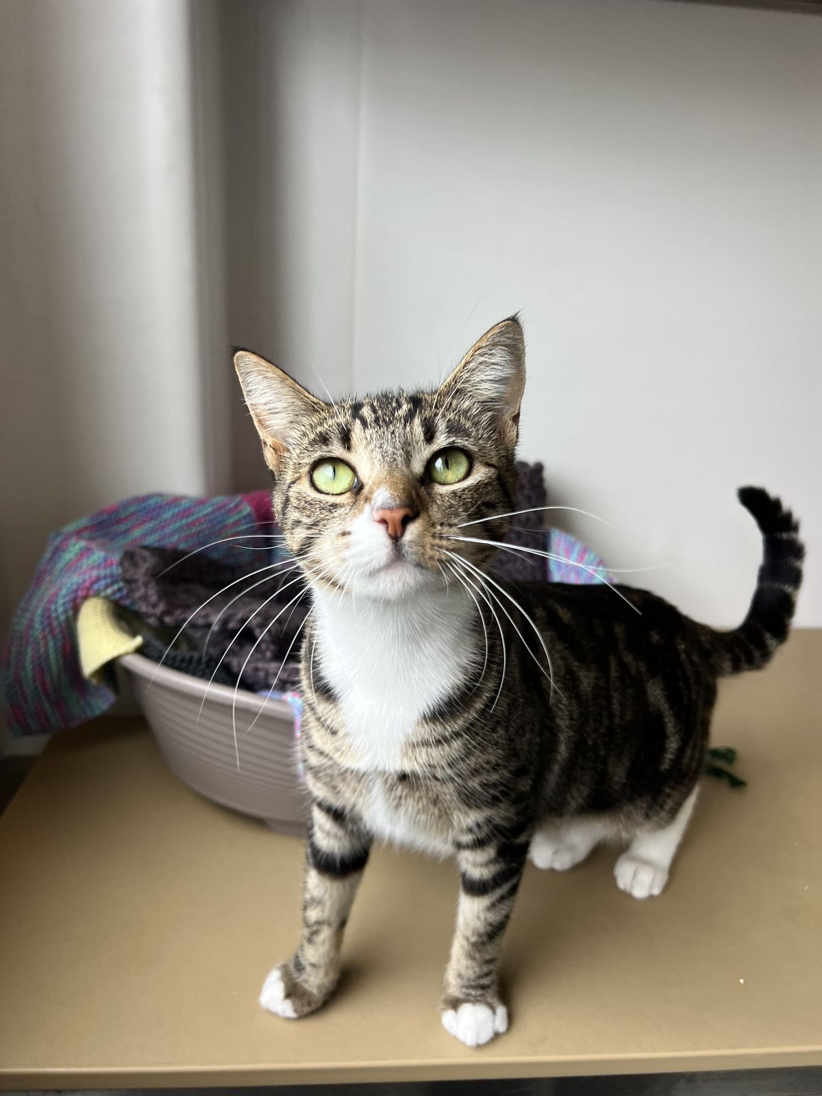 Gallery image: Princess