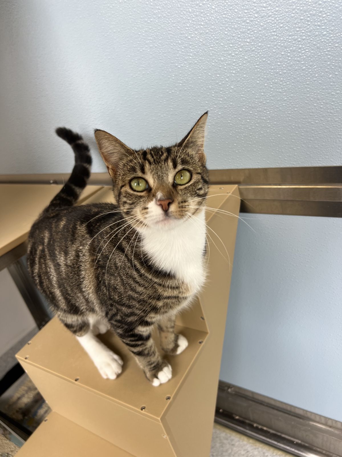 Gallery image: Princess